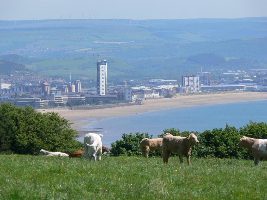 Clyne Farm Centre Villa The Mumbles Kültér fotó