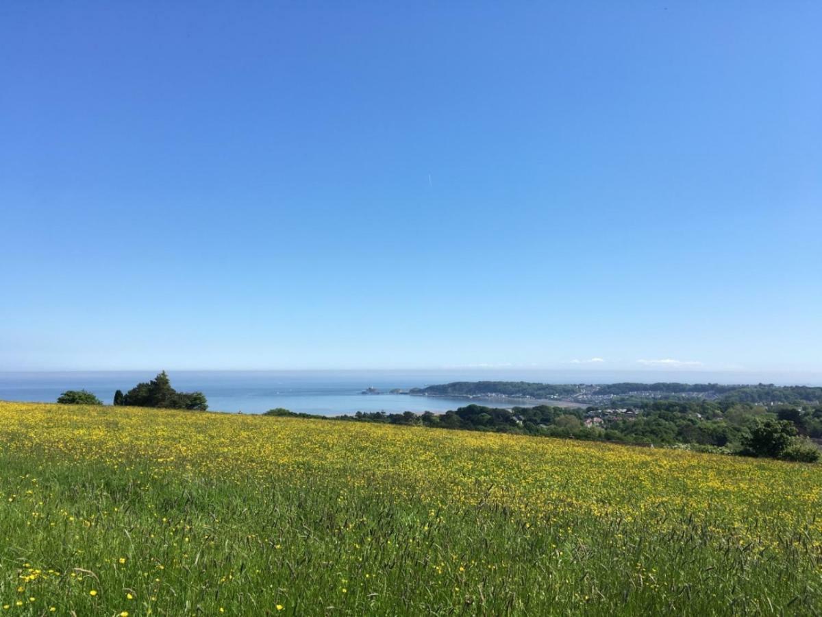 Clyne Farm Centre Villa The Mumbles Kültér fotó