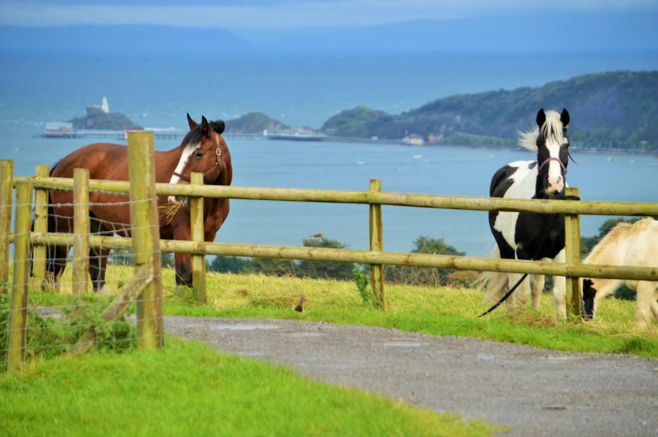 Clyne Farm Centre Villa The Mumbles Kültér fotó